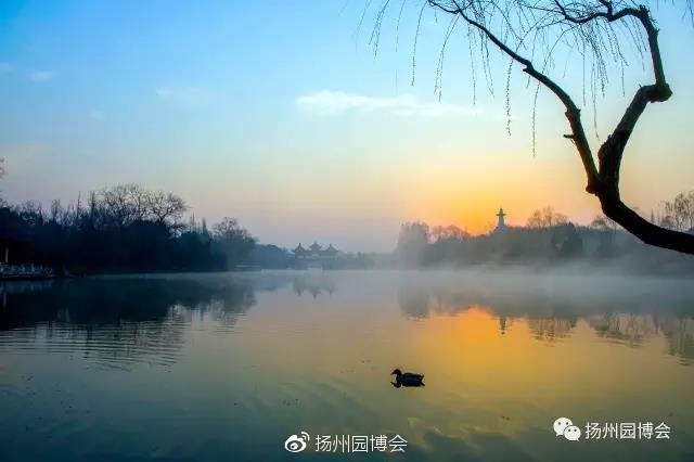 KY开元集团官网_境外约车出事 起诉平台被驳(图2) ky开元集团