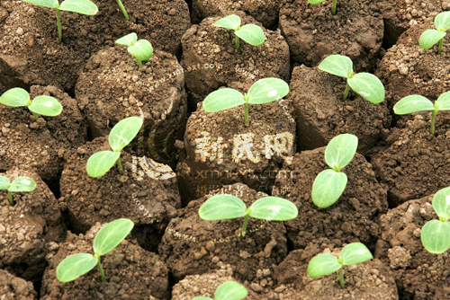 KY开元集团官网