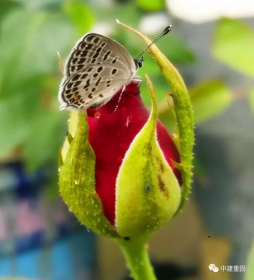 2019年暑假整形热度持续上升,女生眼鼻整形、男生祛痘_KY开元集团官网(图3) KY开元集团官网