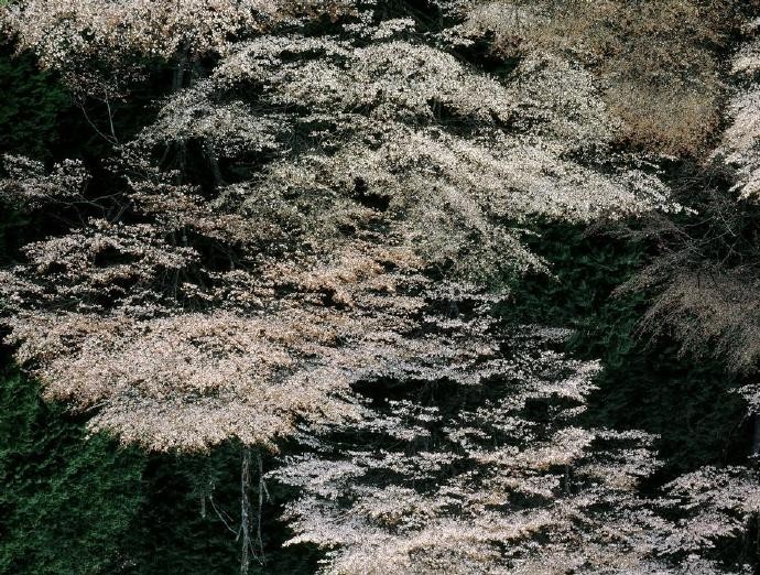 KY开元集团官网