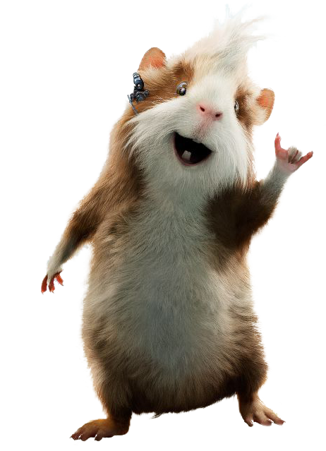 外国旅游网站近日列出十个处于不同危险状态的旅游地:ky开元(图3) KY开元集团官网