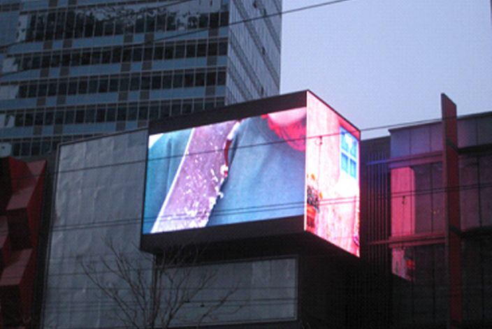 身长9米大小如中型巴士 红海发现幼年鲸鲨‘ky开元’(图3) ky开元电竞