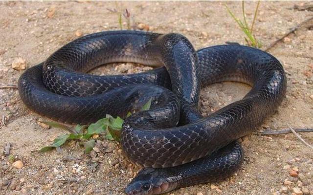 NBA圣诞大战球衣盘货“KY开元集团官网”(图3) ky开元集团