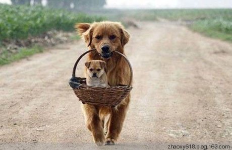 ky开元集团_从事整形美容工作20余年的杨瑞萍主任(图1) KY开元集团官网