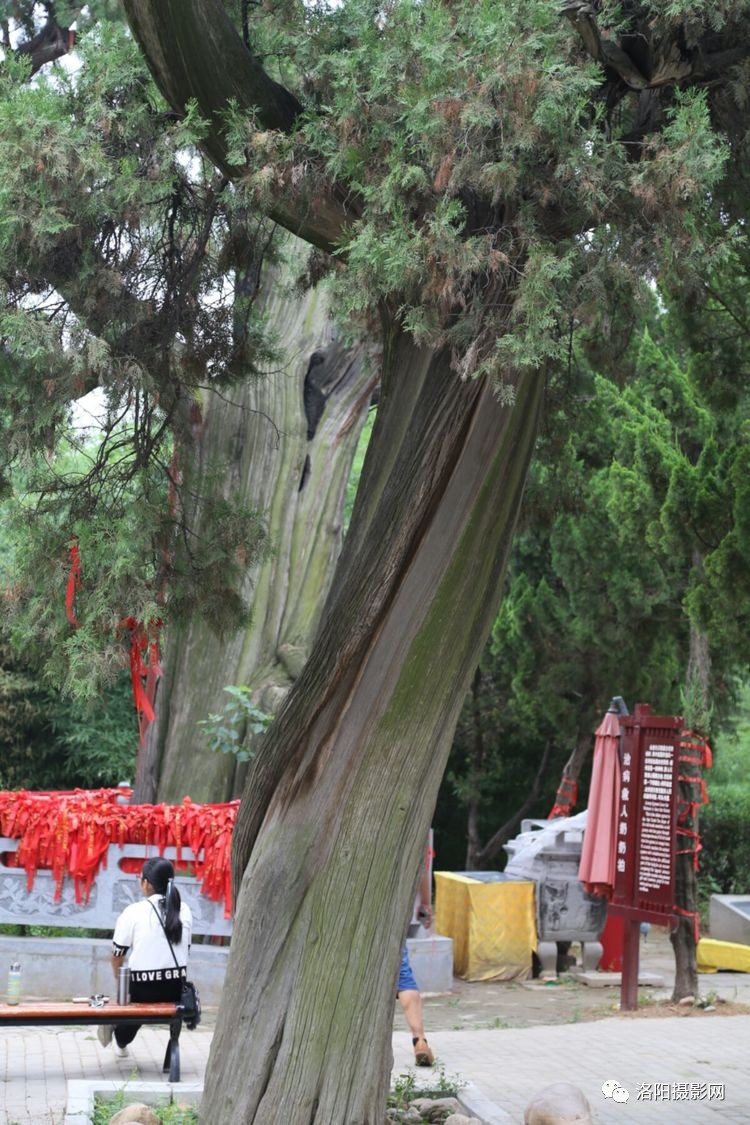 格策诡异病因被迫停训 世界杯绝杀英雄归期未定“ky开元集团”(图2) ky开元集团