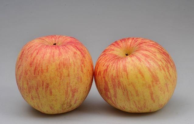 王静医生在精细化口腔种植具有特色造诣-ky开元集团(图2) ky开元