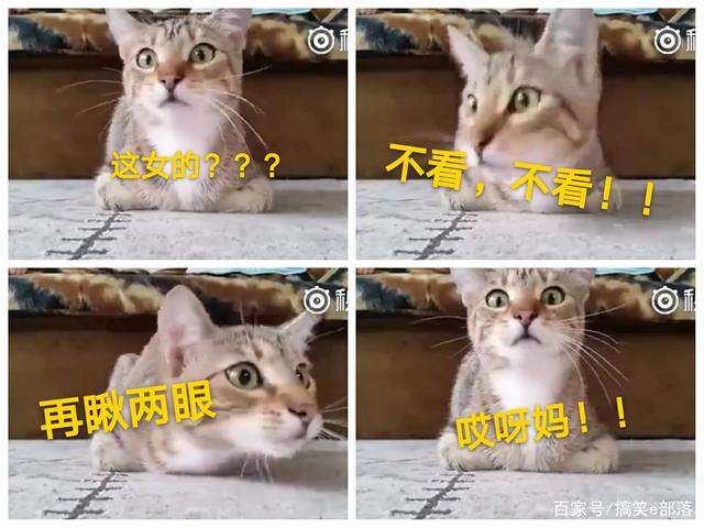 KY开元集团官网