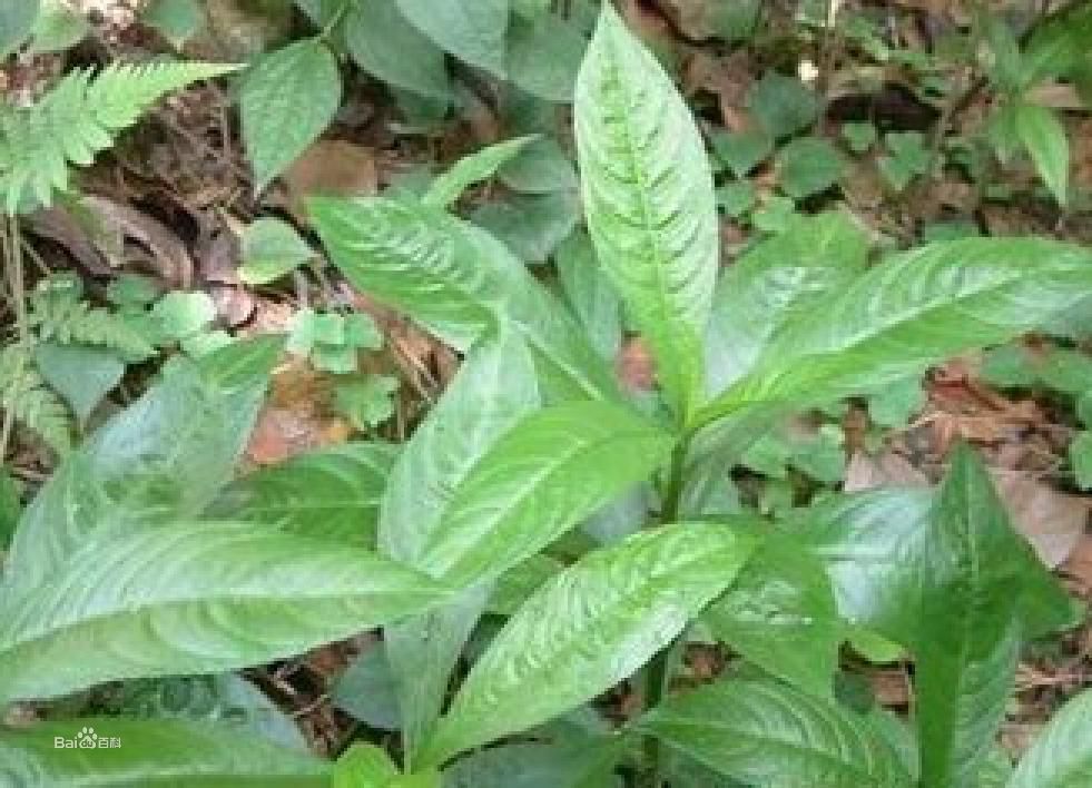 新华网北京11月29日电 中国旅游简讯:ky开元(图4) KY开元集团官网