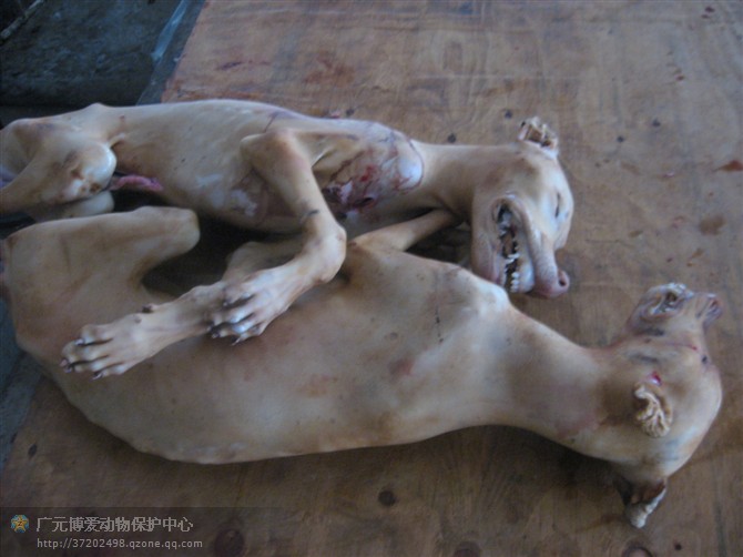 很多小姐姐都安利的小气泡是什么呢‘ky开元集团’(图2) ky开元