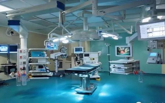 汉堡新星炮轰球队混乱 梦想欧冠欲加盟勒沃库森‘ky开元电竞’(图3) ky开元集团