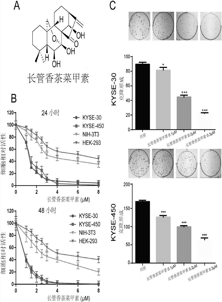 KY开元集团官网