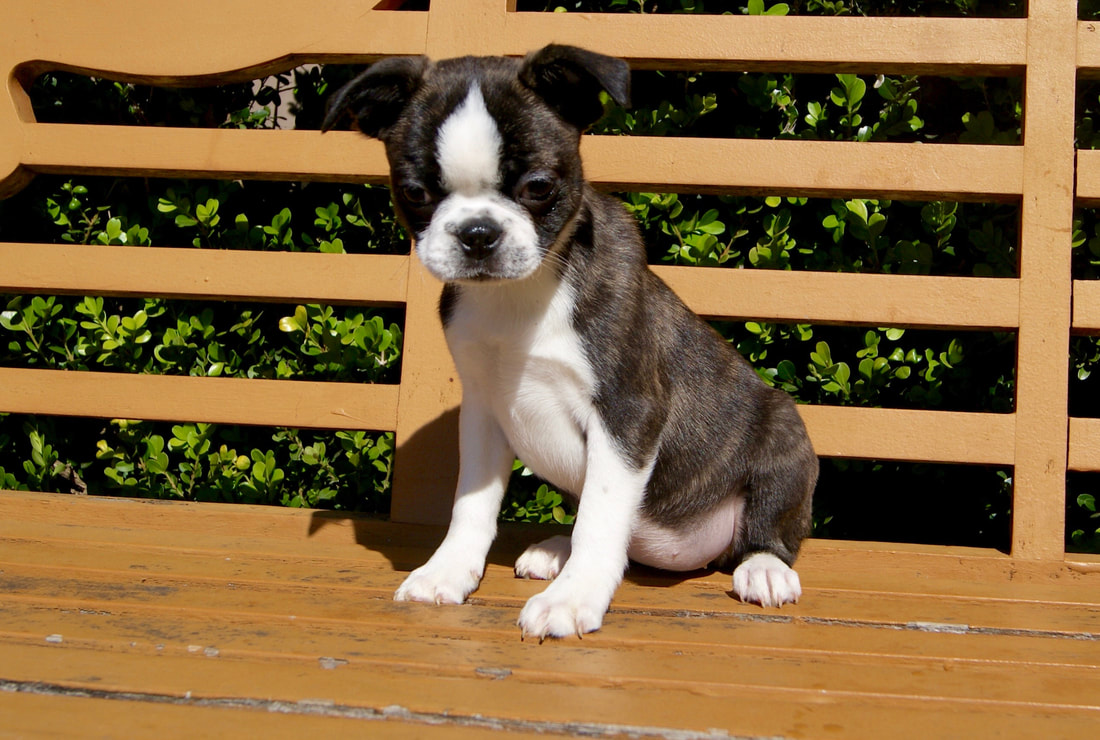 KY开元集团官网