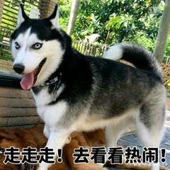 ky开元集团
